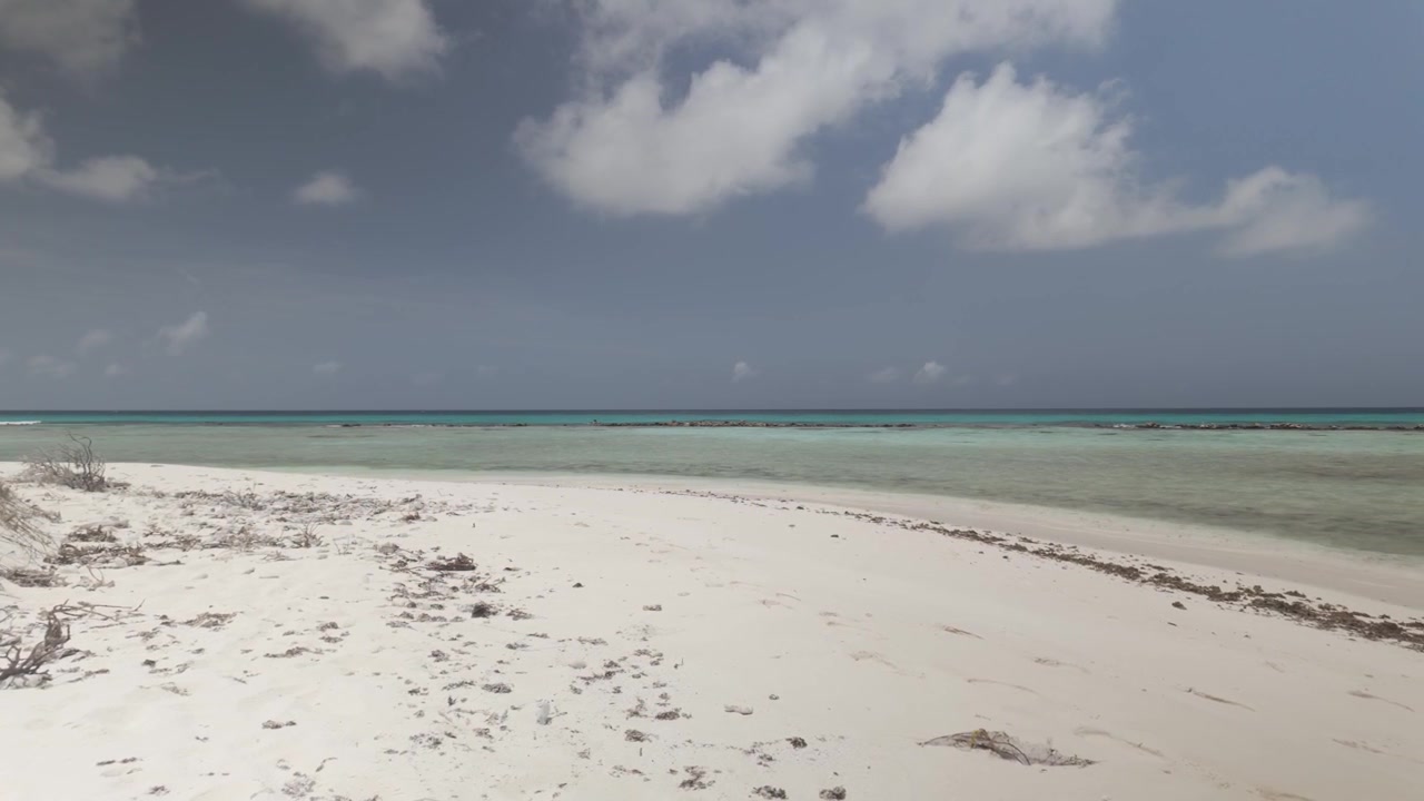 Roligt og fredfyldt tropisk landskab med uberørt hvidt sand og krystalklart caribisk vand under en lys, solrig himmel. video 4k Dlog