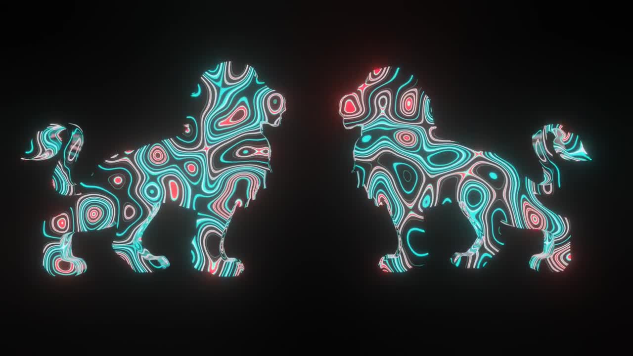 4K video animace krásné textury nebo tvorby vzoru na tvaru těla dvou lvů, izolované na černém pozadí. 3D render abstraktní smyčkové animace neonového světelného efektu na lvech.