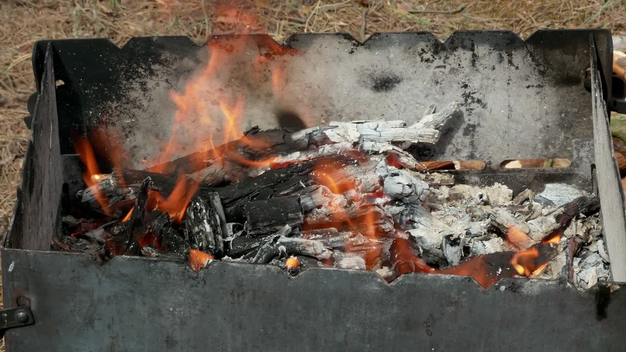 브라지어 바베큐 그릴 인 포레스트 4k