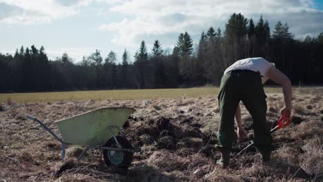 man digging and putting soil into wheelbarrow - wide shot