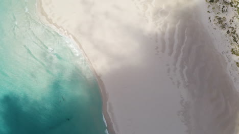 Vista-Aérea-De-Arriba-Hacia-Abajo-Sombras-Nubladas-Pasando-Por-La-Playa-De-Arena-Paradisíaca-De-Sudáfrica-Debajo