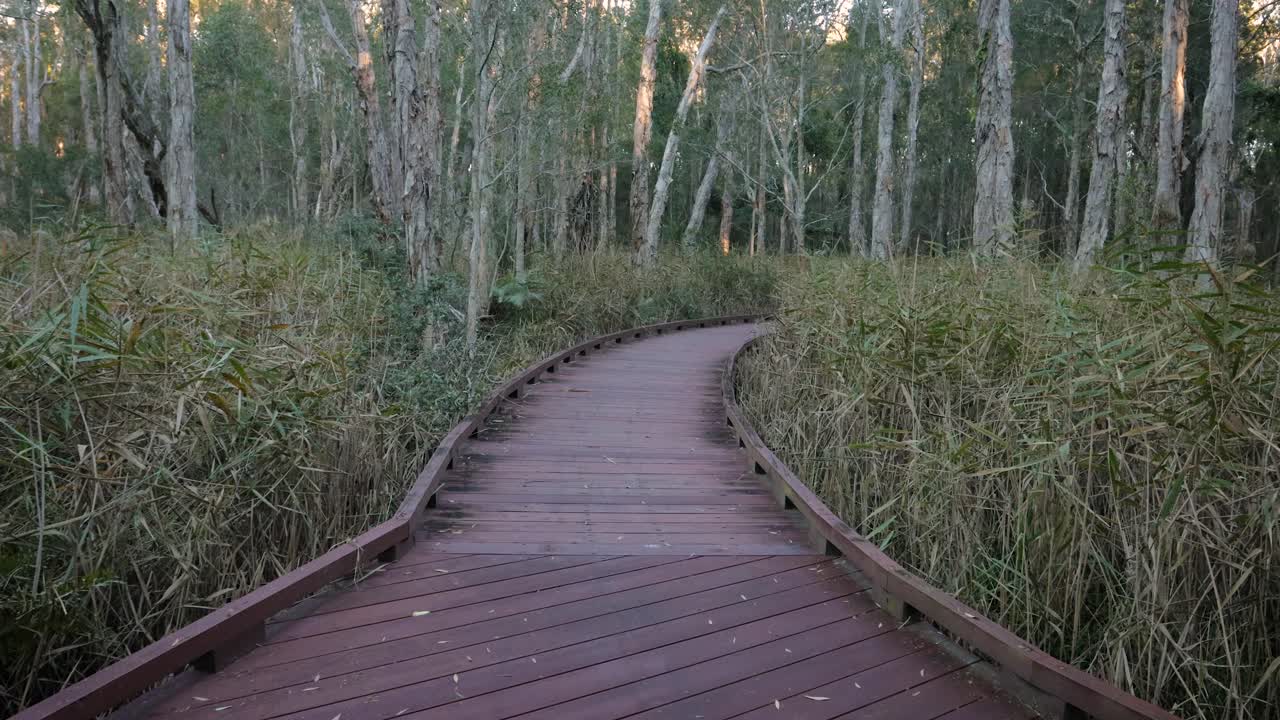 ⁇ 드헬드 와이드  ⁇  멜라레우카 보드워크 트레일,  ⁇ 바바 호수 보호 공원, 골드 코스트,  ⁇ 즈랜드
