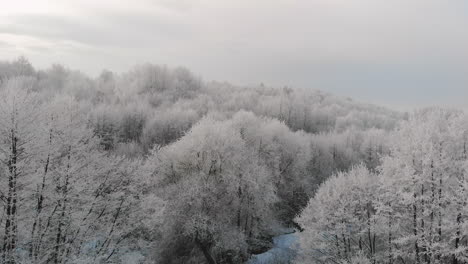 winter aerial view of frozen forest, magical scenery, beautiful frost on trees