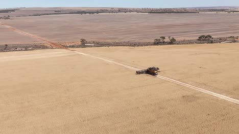 This-footage-captures-the-synergy-of-modern-agricultural-technology,-showcasing-the-essential-role-of-header-fronts-in-the-wheat-harvesting-process