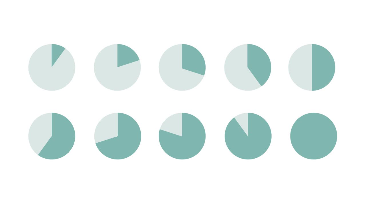 A set of simple, flat, animated pie charts. The graphs range from 10% to 100%.