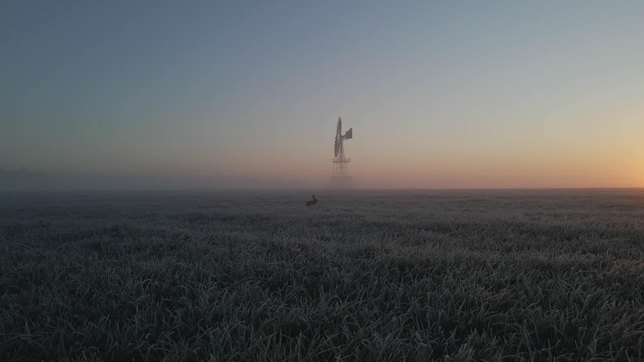 Luftfoto af hare nær vindmølle ved solopgang, tågedækket eng, Friesland, Holland