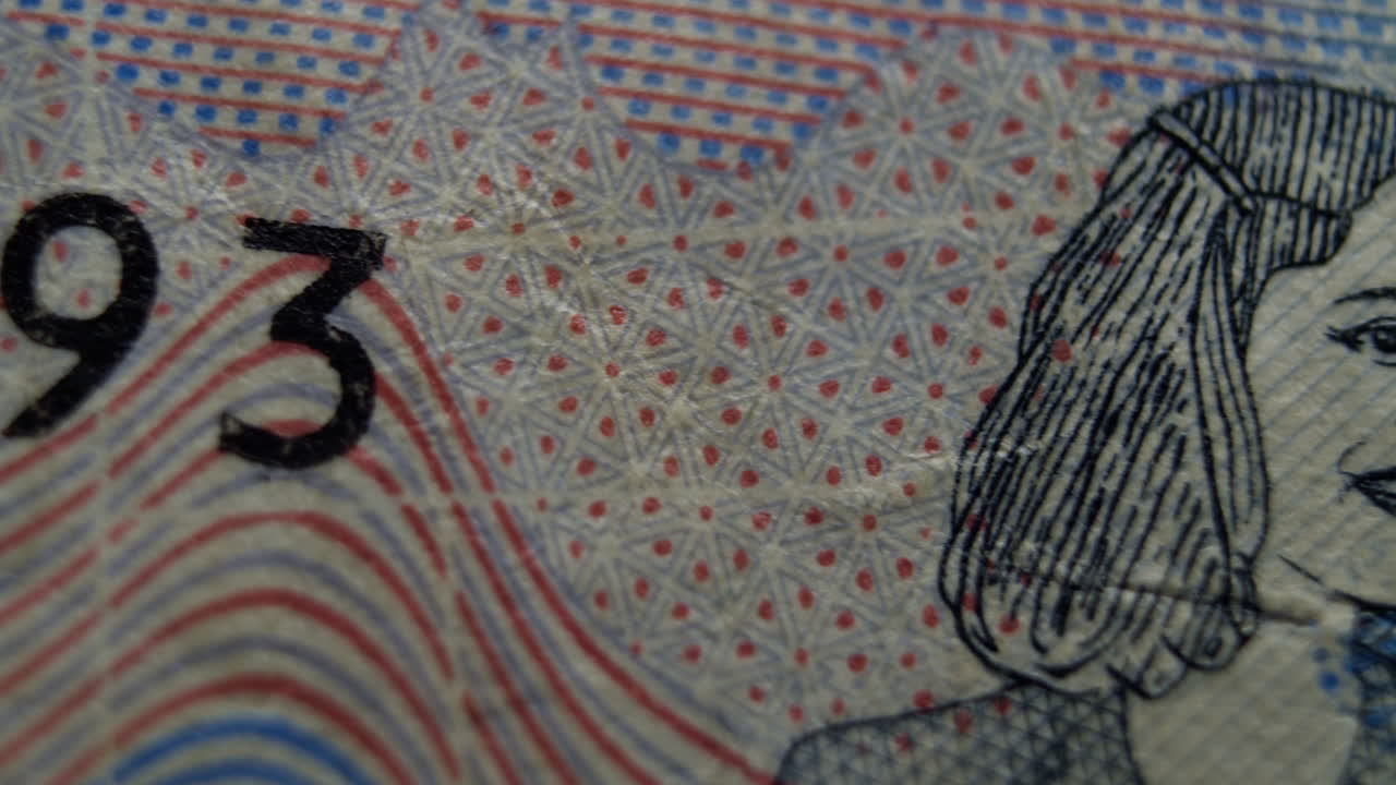 Extreme macro view of a banknote showing a female portrait, intricate security lines, and colorful patterns in sharp detail