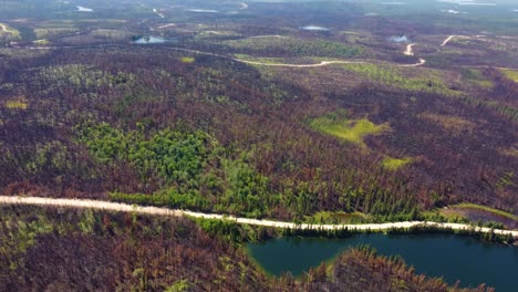 Destroyed-forest-after-wildfire-due-to-climate-change,-aftermath-fire-landscape,-aerial