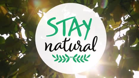 Animation-of-stay-natural-text-over-leaves