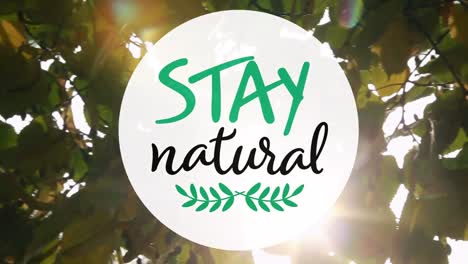 animation of stay natural text over leaves