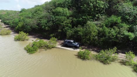 Autofahren-Abseits-Der-Straße-In-Der-Nähe-Von-Creek-River-Drone-View-Bäume-Und-Kakteen