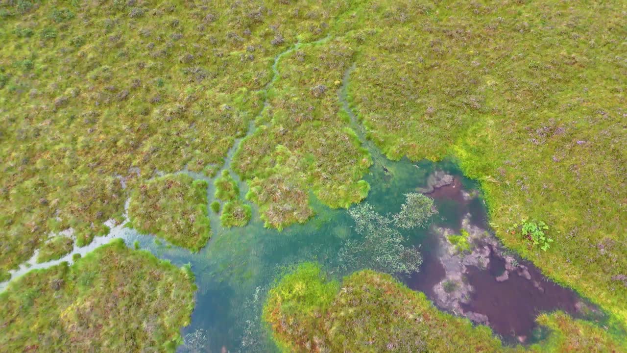 Drone camera glides above a lush wetland in the Scottish Highlands, revealing winding streams, green grasses, and patches of open water in daylight