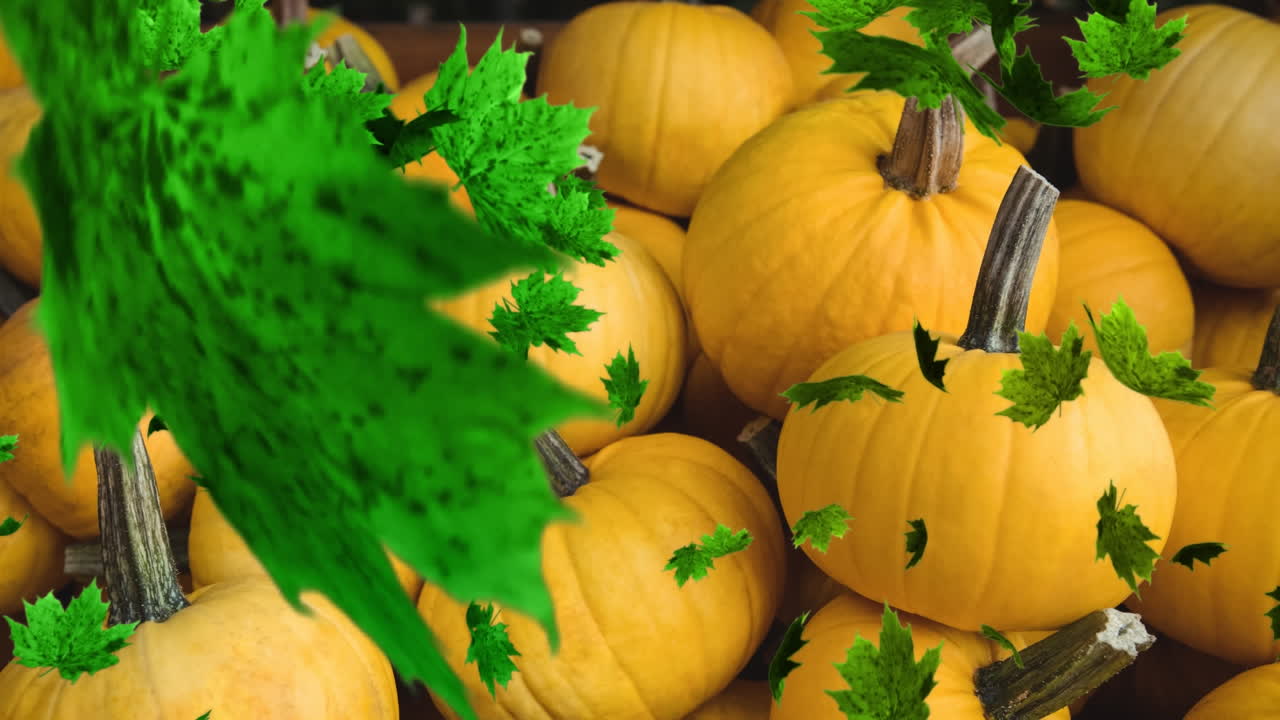 호박  ⁇ 에 떨어지는 가을 잎의 애니메이션