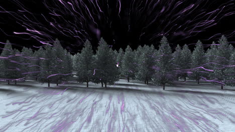 purple light trail bursting over multiple trees on winter landscape against black background