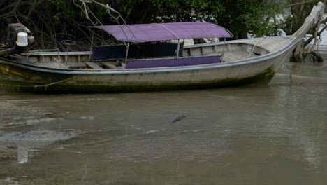 un pájaro de tailandia cazando en aguas poco profundas junto a un barco atracado en la costa