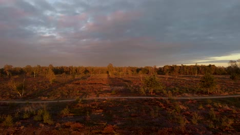 Low-aerial-forward-movement-over-a-moorland-landscape-at-sunset-creating-a-deep-orange-golden-ambience-with-a-forest-and-colourful-clouds-in-the-background