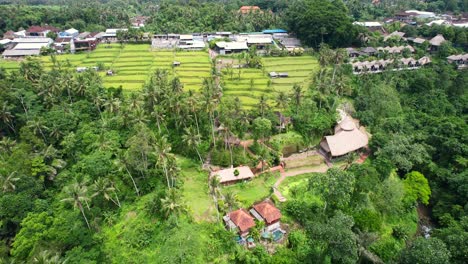 Antena-Del-Valle-De-Arrozales-Lleno-De-Cocoteros-Y-Río-Abajo-En-Bali,-Indonesia