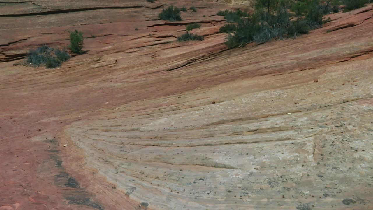 desolado paisaje árido y erosionado del cañón en el parque nacional zion, utah