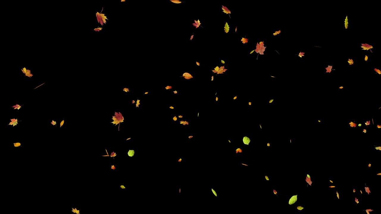 A flurry of colorful autumn leaves blows across the screen from right to left. Seamless loop with alpha channel for overlay on any background. Seasonal, nature, or transition element