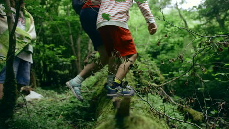 children hiking through a forest