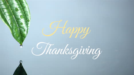 Animation-of-happy-thanksgiving-text-banner-against-close-up-of-a-water-drop-falling-of-a-leaf