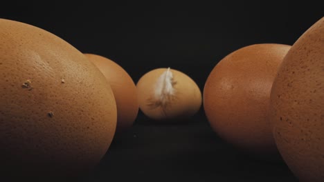 varios huevos frescos de gallinas camperas y plumas en un huevo