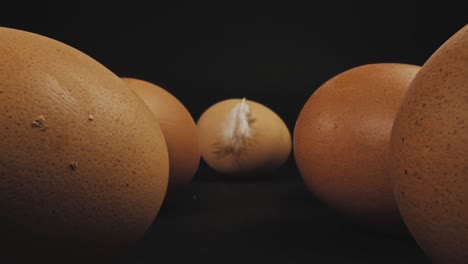 several fresh brown free-range eggs and feather on one egg