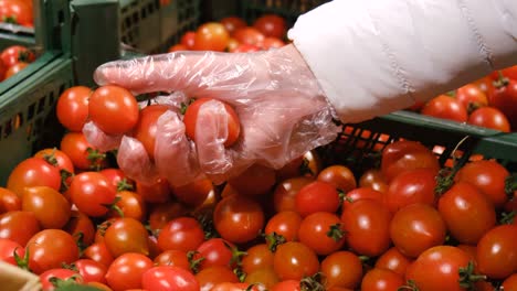 woman buys cherry tomatoes at the vegetable market. variety of small tomatoes