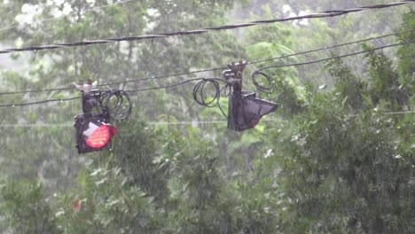 rain heavy with traffic lights and trees that start blurred and come into focus