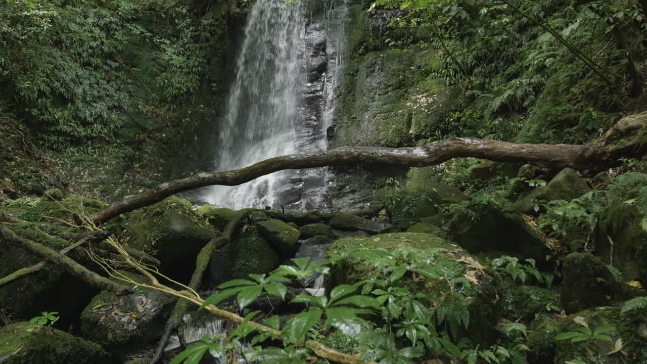 Water falling down rocks in a forest at McLean Falls, Catlins, New Zealand.