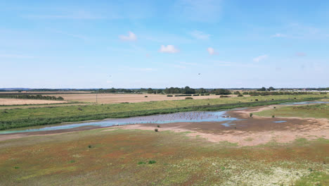 Aerial-video-footage-showcases-the-elegance-of-saltwater-marshlands-on-the-Lincolnshire-coast,-featuring-seabirds-in-graceful-flight-and-on-the-lagoons-and-inland-lakes