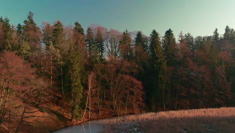 Invierno-Lago-Drone-Vuelo-Aéreo-Agua-Congelada-Bosques-Pinos-Atardecer-Luz-Del-Sol-Rayos-De-Luz-Pruhonice-Republica-Checa