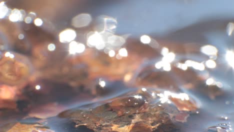 sparkling water close-up: sunlight reflecting on a stream