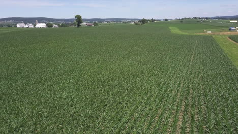 drone shot over crops
