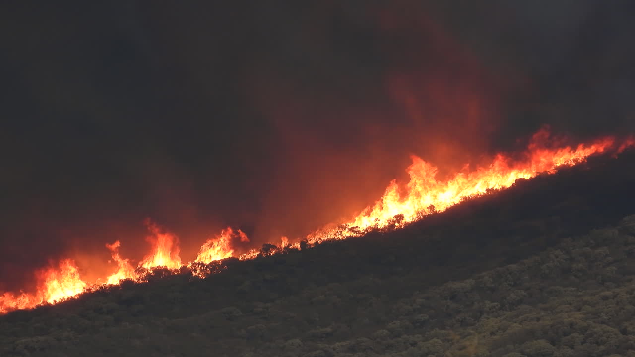 Fiamme alte e fumo bianco e nero che si alzano sopra una foresta.