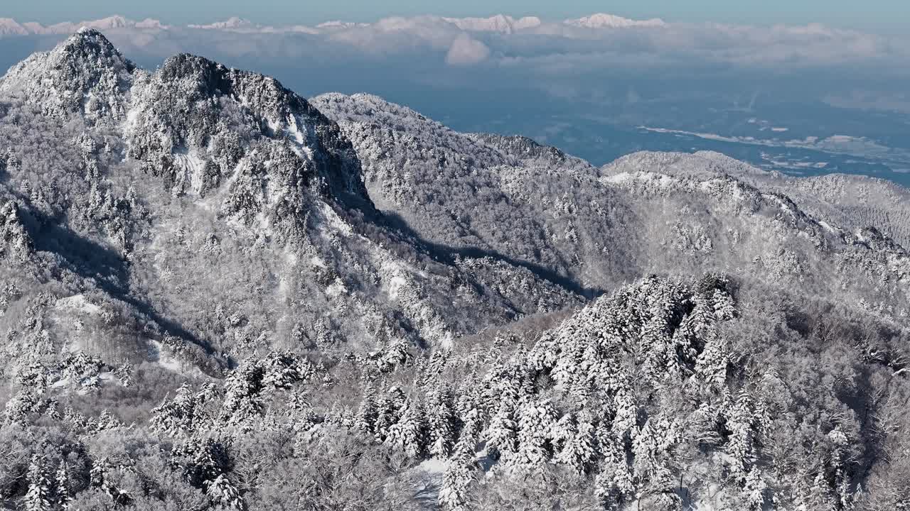 冬の雪に覆われた森と険しい山々の峰の息をのむような景色。