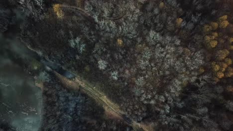 wide shot aerial drone footage tracking birds from above flying on flooded agricultural fields water reflecting clouds in the autumn leaves fall cold weather
