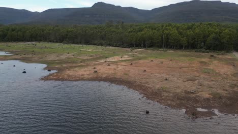 Drone-shot-of-one-of-the-flat-shores-of-Lake-Huntsman-in-Tasmania,-mountains-in-the-background