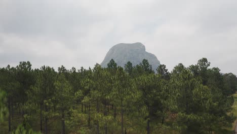 Drone-Ascend-In-The-Forest-With-Green-Trees-And-Reveal-Mount-Tibrogargan-In-QLD,-Australia