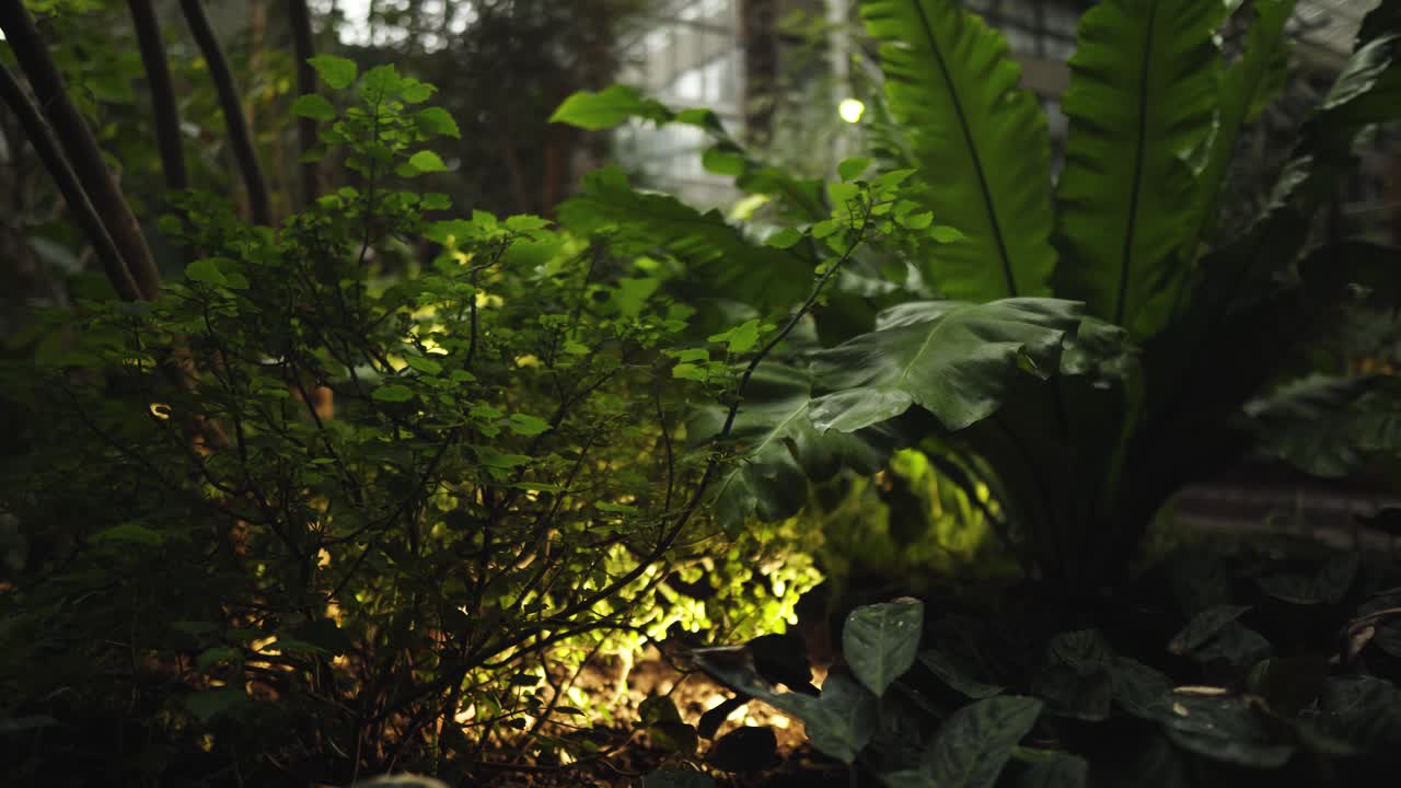 luz artificial detrás de la vegetación tropical en un ambiente oscuro
