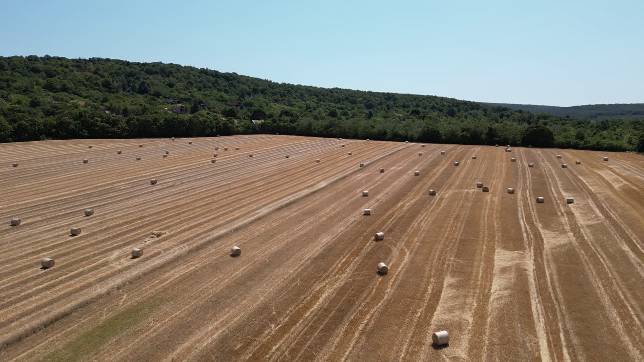 Vast farm land littered with round hay bales