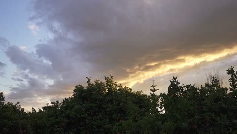 Hermosa-Puesta-De-Sol-En-El-Cielo-Con-Nubes-Grises-En-Un-Huerto-Verde