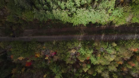 Aerial-top-down-shot-of-railroad-track-in-shadow-among-green-and-sunny-forest