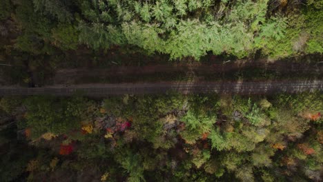 aerial top down shot of railroad track in shadow among green and sunny forest