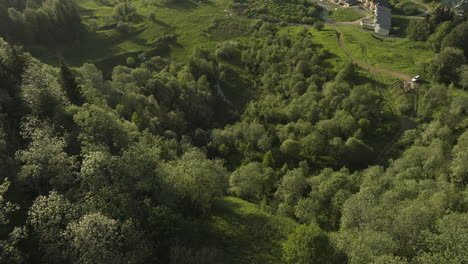 mountain slope covered by green trees in the small town of bakuriani in georgia