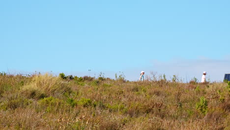 madre e hijas caminando a lo largo de la cresta de la montaña fynbos de la reserva natural de fernkloof