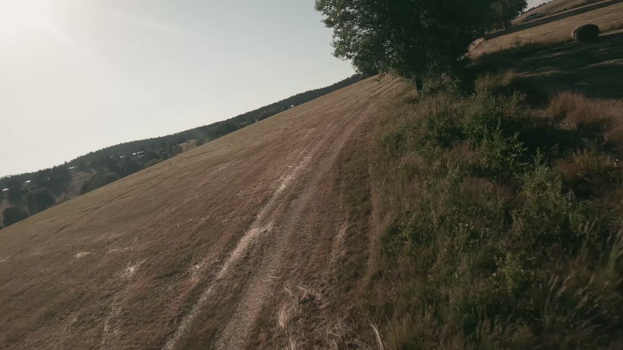 volando hacia atrás con un dron de carreras fpv sobre un prado con líneas de heno seco y pajares en un paisaje pintoresco con un bosque de abetos al fondo