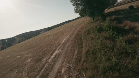 flying backwards with fpv racing drone over a meadow with lines of dried hay and haystacks in a scenic countryside with spruce forest in the background