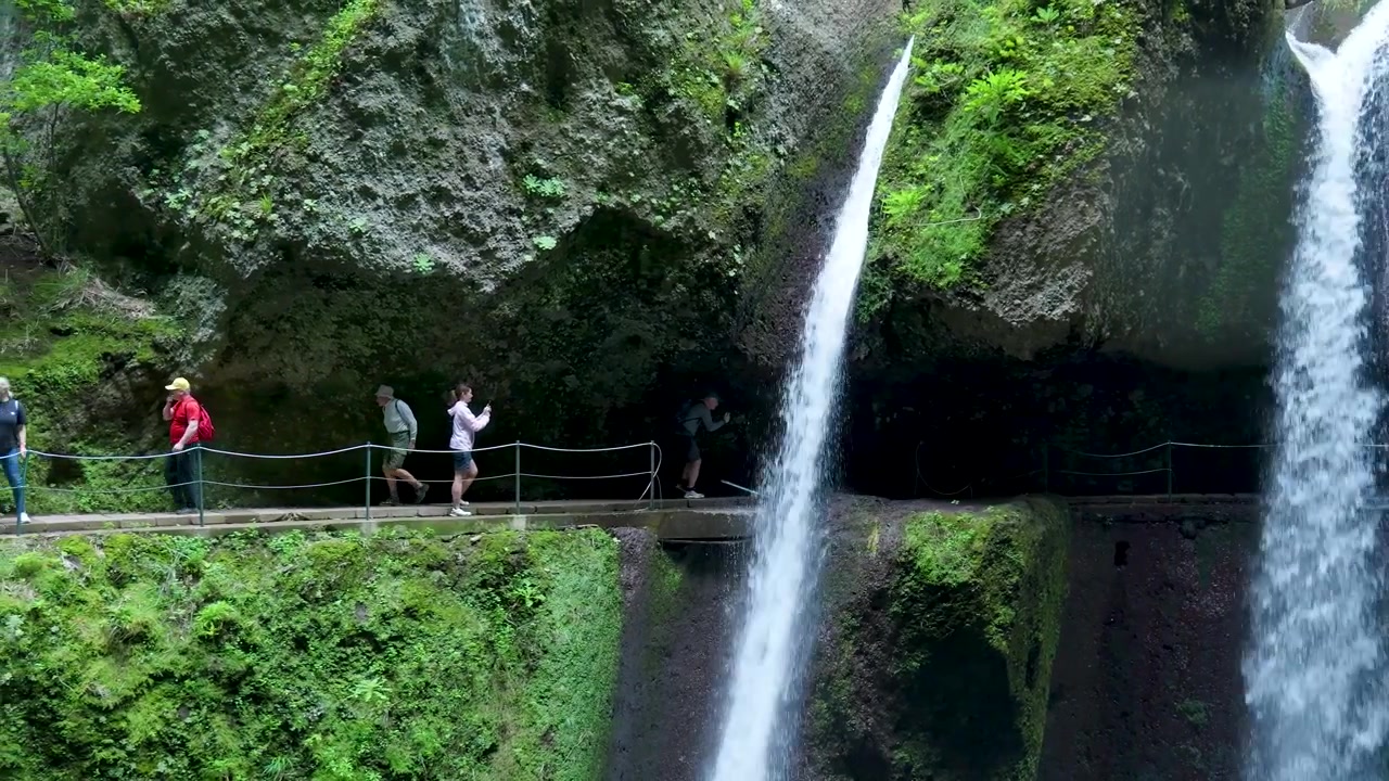 Sekelompok Pendaki Berjalan Menyusuri Jalur Air Terjun di Hutan Lebat