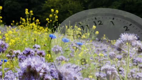 White-clock-and-flowers